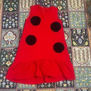 Ladybug costume Women’s adult dress